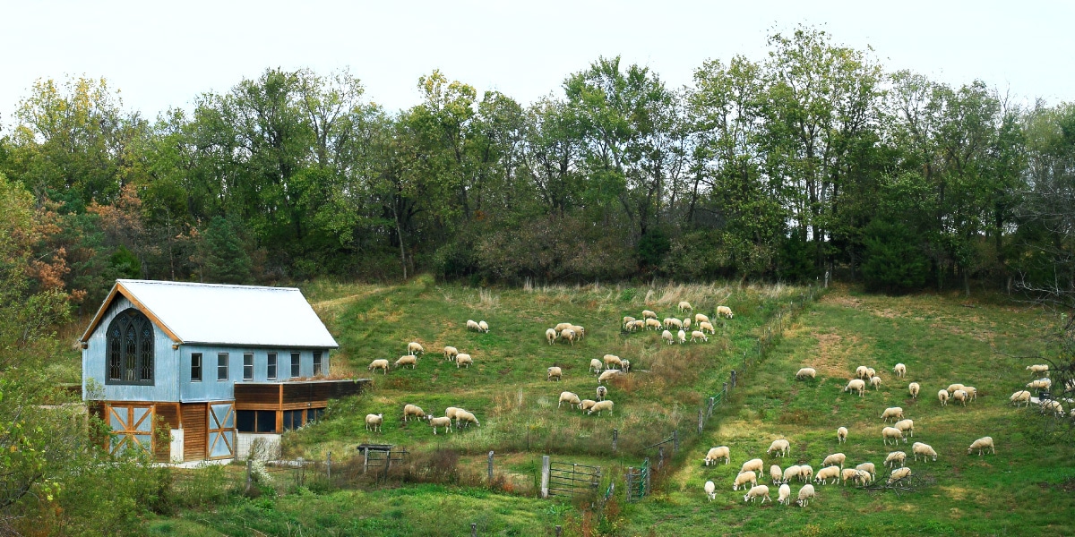 Green Dirt Farm, LLC