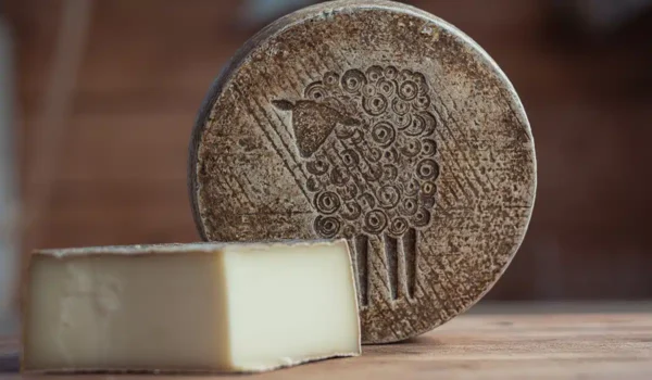 Green Dirt Farm | Sheep Milk Cheese